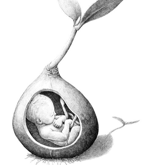 lettera ad un bambino che ancora non c’è