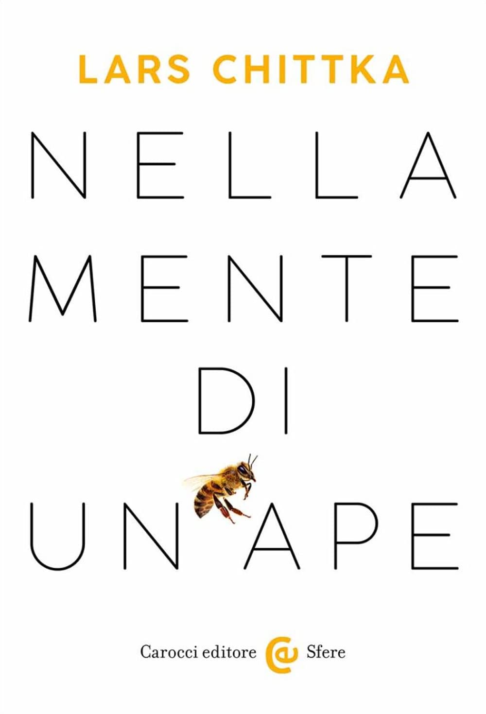 immagine prodotto