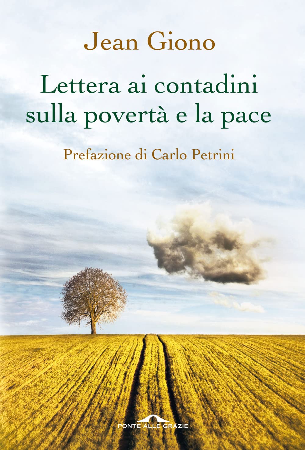 immagine prodotto
